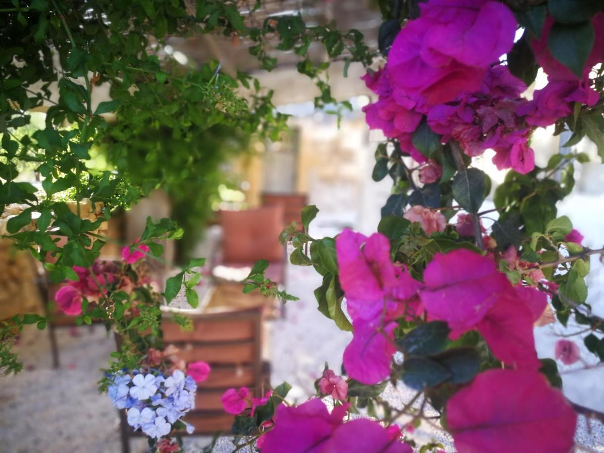 Casette Marianeddi -Agriturismo Marianeddi 노토 외부 사진